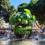 Dwo Nopal Puerto de la Cruz (Tenerife)