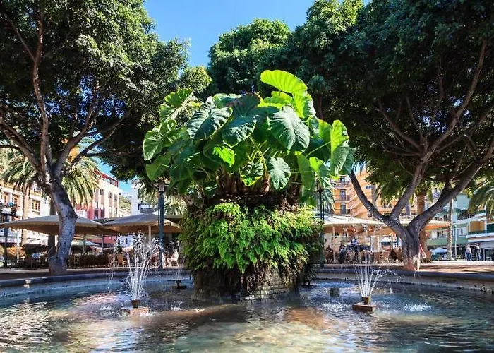 Dwo Nopal بويرتو ذي لا كروز